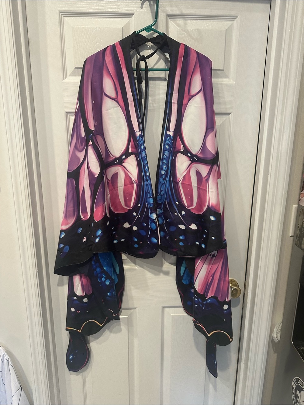 Butterfly wings